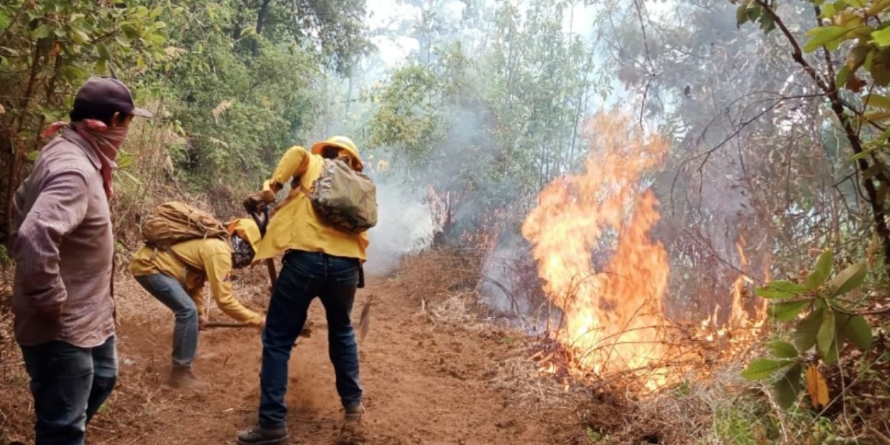 INCENDIOS EN BOLIVIA «ESCAPAN A CUALQUIER CAPACIDAD DE CONTENERLOS», SEGÚN BOMBERO ESPAÑOL