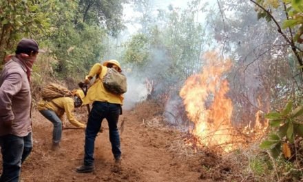 INCENDIOS EN BOLIVIA «ESCAPAN A CUALQUIER CAPACIDAD DE CONTENERLOS», SEGÚN BOMBERO ESPAÑOL