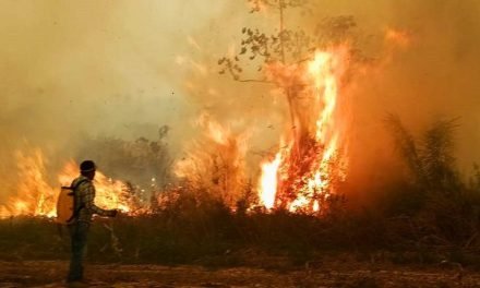 «EL PEOR DESASTRE AMBIENTAL EN LA HISTORIA DE SANTA CRUZ»: EL FUEGO ARRASÓ MÁS DE 7 MM DE HECTÁREAS