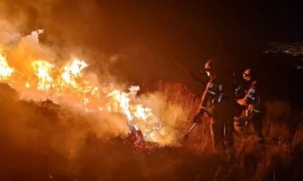 “ES EL MAYOR DESASTRE DE LA HISTORIA”, INCENDIOS CONSUMIERON MÁS DE 5 MILLONES DE HECTÁREAS  
