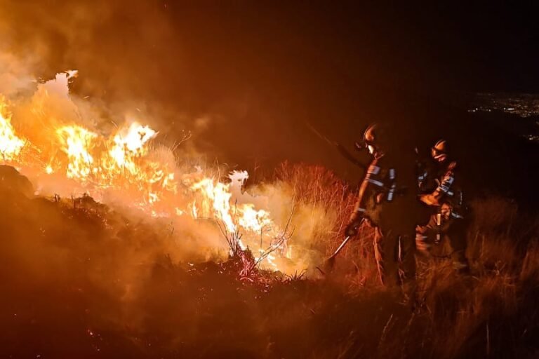 “ES EL MAYOR DESASTRE DE LA HISTORIA”, INCENDIOS CONSUMIERON MÁS DE 5 MILLONES DE HECTÁREAS  
