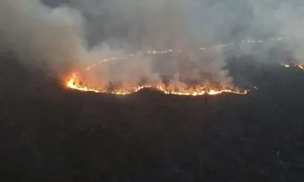 SANTA CRUZ LUCHA CONTRA 74 INCENDIOS FORESTALES EN 19 MUNICIPIOS