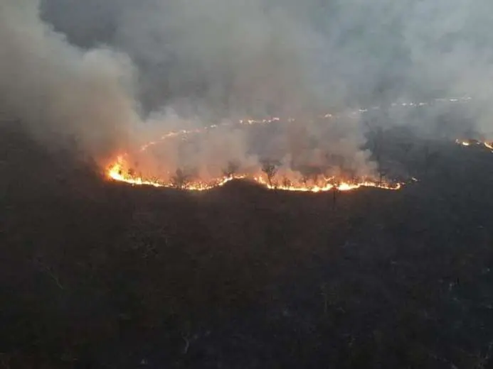 SANTA CRUZ LUCHA CONTRA 74 INCENDIOS FORESTALES EN 19 MUNICIPIOS