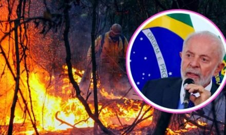 LULA ADMITE QUE BRASIL NO ESTÁ PREPARADO PARA ENFRENTAR OLA DE INCENDIOS