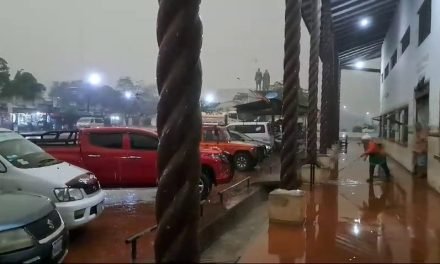 LLUVIA EN SANTA CRUZ ALCANZA A ALGUNAS COMUNIDADES AFECTADAS POR LOS INCENDIOS