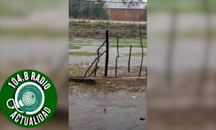 LLOVIÓ EN MINERO Y MITIGO ALGUNOS FOCOS DE CALOR