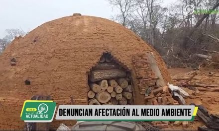 DENUNCIAN AFECTACIÓN AL MEDIO AMBIENTE