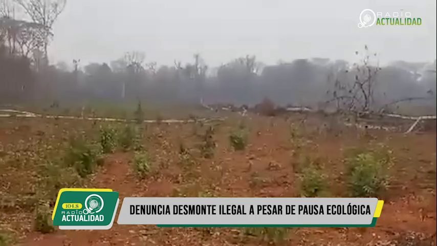 DENUNCIA DESMONTE ILEGAL A PESAR DE PAUSA ECOLÓGICA EN AREA PROTEGIDA