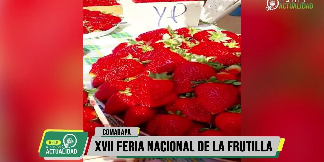 XVII FERIA NACIONAL DE LA FRUTILLA EN COMARAPA