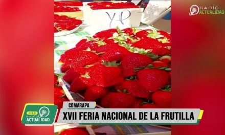 XVII FERIA NACIONAL DE LA FRUTILLA EN COMARAPA