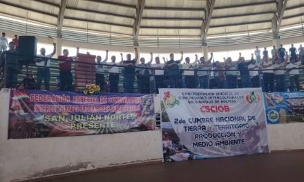 GOBIERNO AUTORIZA EL USO BIOTECNOLOGÍA EN SEMILLA DE SOYA