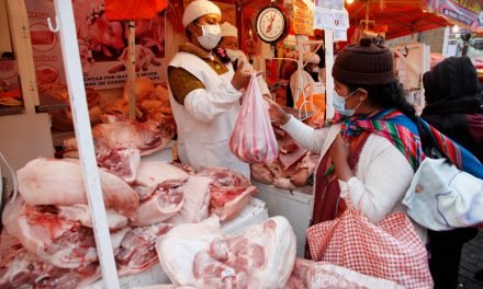 ABASTECIMIENTO DE POLLO Y CERDO ESTÁ ASEGURADO DICE EL GOBIERNO