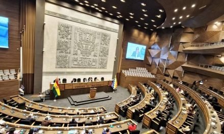 SANTA CRUZ SUMA UN ESCAÑO Y CHUQUISACA PIERDE UN ESPACIO EN EL NUEVO DISEÑO DEL LEGISLATIVO