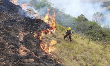 JUSTICIA CONCEDE TUTELA PLANTEADA POR EL DEFENSOR DEL PUEBLO Y RESGUARDA DERECHOS DE LA MADRE TIERRA