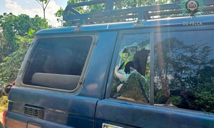 GRUPO ARMADO EMBOSCÓ Y AGREDIÓ A POLICÍAS DE UMOPAR EN VILLA TUNARI