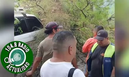 RAMA DE CUPESÍ CAE EN EL PALACIO DE JUSTICIA POR FUERTES VIENTOS
