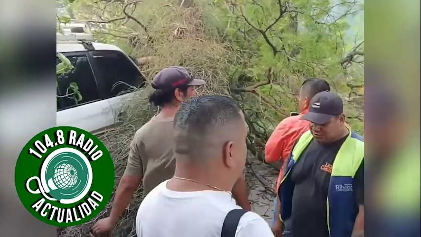 RAMA DE  CUPESÍ CAE EN EL PALACIO DE JUSTICIA POR FUERTES VIENTOS