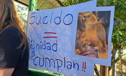 TRABAJADORES DE EMACRUZ EN HUELGA DE BRAZOS CAÍDOS POR SUELDOS ATRASADOS