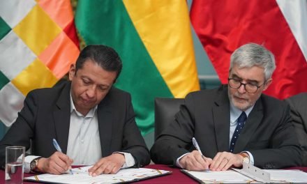 BOLIVIA Y CHILE FORMAN COMITÉ PARA EVALUAR EVENTUAL APERTURA DE DOS NUEVOS PASOS FRONTERIZOS