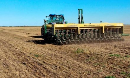 CAO VE POSITIVA LA LIBRE IMPORTACIÓN DE CARBURANTES