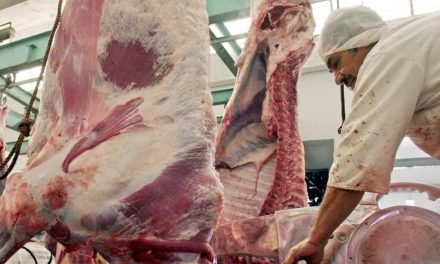 GANADEROS, GOBIERNO Y CONTRACABOL ACUERDAN GARANTIZAR  ABASTECIMIENTO DE CARNE 