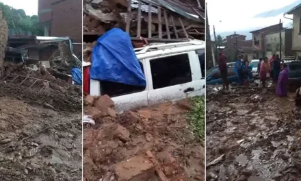 MAZAMORRA INGRESA HASTA LA POBLACIÓN DE LAS MERCEDES Y GENERA DESTROZOS