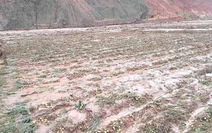 DESBORDE DE RÍOS EN EL NORTE DE LA PAZ PROVOCA DERRUMBES Y AFECTA CULTIVOS