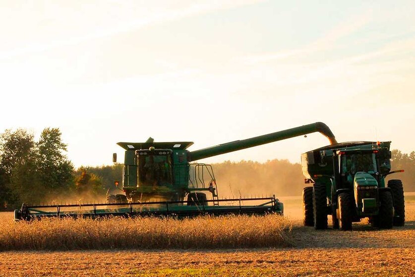 GOBIERNO AUTORIZA SEMILLA DE SOYA MODIFICADA HB4 Y DIÉSEL PARA PRODUCTORES