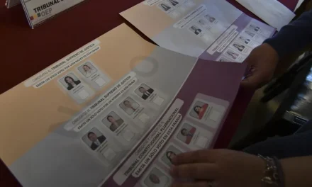 TCP RATIFICA FALLO QUE SUSPENDE PARCIALMENTE LAS JUDICIALES