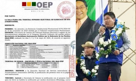 RESOLUCIÓN DEL TSE RECONOCE A ALA ‘ARCISTA’ COMO DIRECTIVA DEL MAS