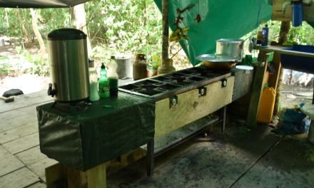 DESTRUYEN MEGA LABORATORIO EN GUARAYOS QUE PRODUCÍA 200 KILOS DE COCAÍNA DIARIOS