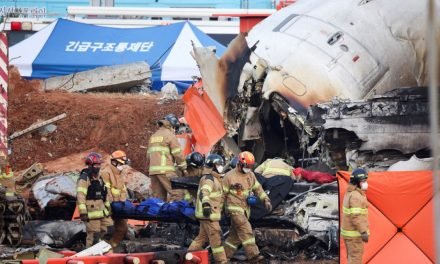 179 MUERTOS EN EL ACCIDENTE DE AVIÓN EN COREA DEL SUR Y SOLO DOS SOBREVIVIENTES