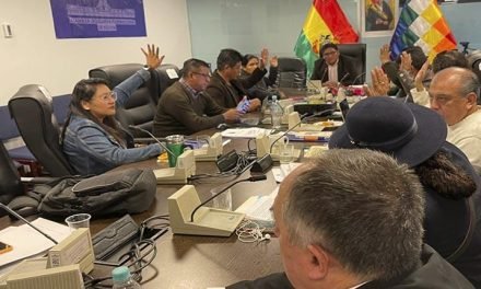 COMISIÓN DE DIPUTADOS APRUEBA EN GRANDE EL PROYECTO DE LEY DEL PGE 2025