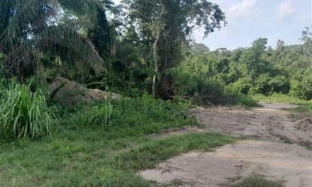 AVASALLAMIENTO ARMADO EN SAN FERNANDO TRAS INTERVENCIÓN POLICIAL EN SANTA RITA