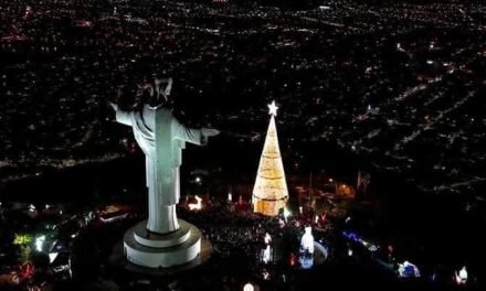 COCHABAMBA TIENE EL ARBOL NAVIDEÑO MÁS GRANDE DE BOLIVIA