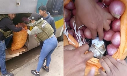 APREHENDEN A HOMBRE QUE LLEVABA MÁS DE BS 2 MILLONES OCULTOS EN CARGA DE CEBOLLA