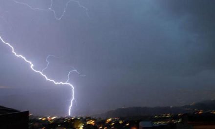 TORMENTAS ELÉCTRICAS CAUSAN LA MUERTE DE  29 CABEZAS DE GANADO EN POTOSÍ