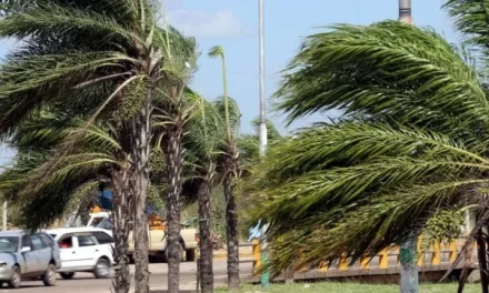 SENAMHI EMITE ALERTA NARANJA POR VIENTOS MODERADOS A FUERTES EN SANTA CRUZ