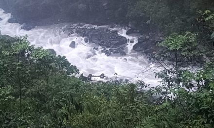 UN FALLECIDO Y TRES HERIDOS TRAS CAER UNA AMBULANCIA A 150 METROS DE PROFUNDIDAD