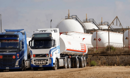 ANAPO ALERTA QUE LA FALTA DE DÓLARES LIMITA LA LIBRE IMPORTACIÓN DE COMBUSTIBLES