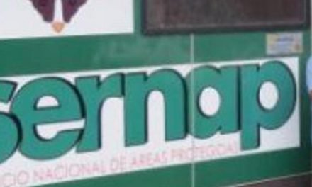 EXIGEN DEVOLVER LA INSTITUCIONALIDAD AL SERNAP Y AUDITAR GESTIÓN DEL MINISTERIO DE MEDIO AMBIENTE