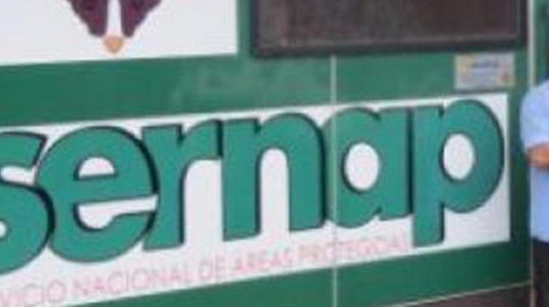 EXIGEN DEVOLVER LA INSTITUCIONALIDAD AL SERNAP Y AUDITAR GESTIÓN DEL MINISTERIO DE MEDIO AMBIENTE