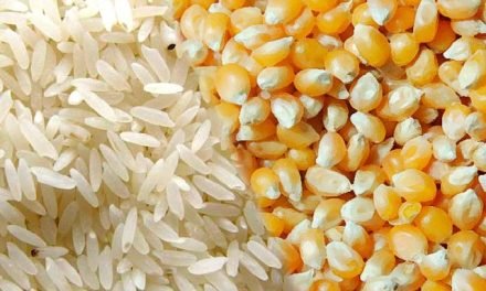 GOBIERNO APRUEBA DECRETO SUPREMO QUE AUTORIZA LA SUBVENCIÓN DE SIETE PRODUCTOS