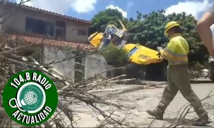 CAE AVIONETA SOBRE UNA VIVIENDA, SOLO EL PILOTO RESULTO HERIDO DE GRAVEDAD