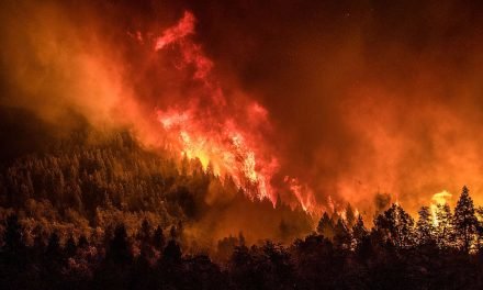 INCENDIOS FORESTALES EN EL SUR DE ARGENTINA ARRASARON CON CASI 40.000 HECTÁREAS