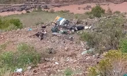 31 FALLECIDOS Y 15 HERIDOS TRAS EMBARRANCAMIENTO DE UN BUS EN LA RUTA POTOSÍ – ORURO