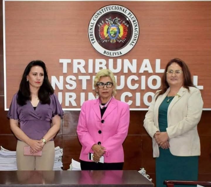 TRIBUNAL CONSTITUCIONAL REALIZA EL PRIMER SORTEO DE CAUSAS DE LA GESTIÓN 2025
