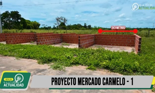 ADQUIERE TU PUESTO EN EL MERCADO DE LA URBANIZACION PALMAR VIRUEZ