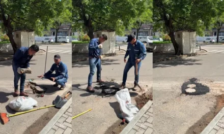 JOVEN INGENIERO SE HACE VIRAL AL ARREGLAR BACHES «POR AMOR A SANTA CRUZ»