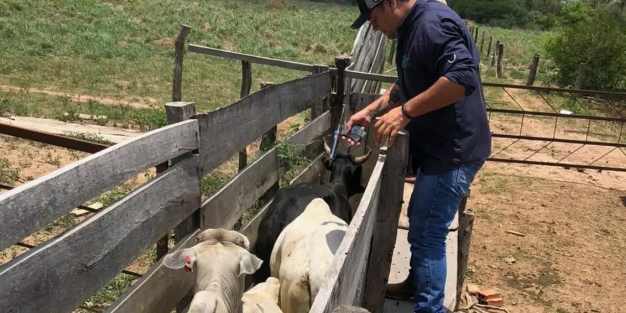 GANADEROS SUSPENDER DIÁLOGO CON EL GOBIERNO TRAS SUSPENDER DE EXPORTACIÓN DE CARNE